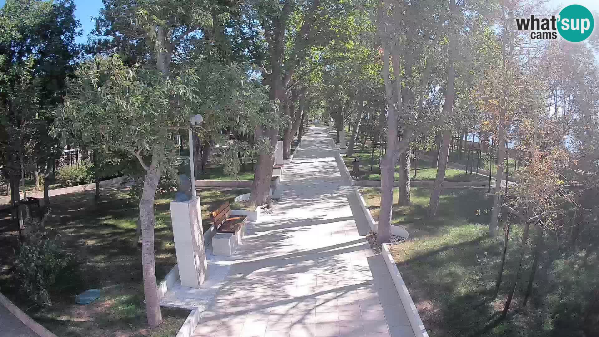 Webcam Parco degli Scrittori Segna – Diretta sul Mare