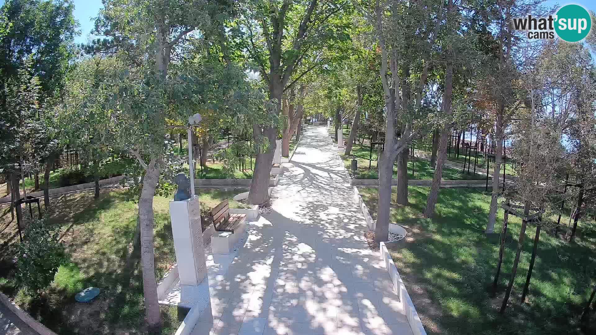 Webcam Parco degli Scrittori Segna – Diretta sul Mare