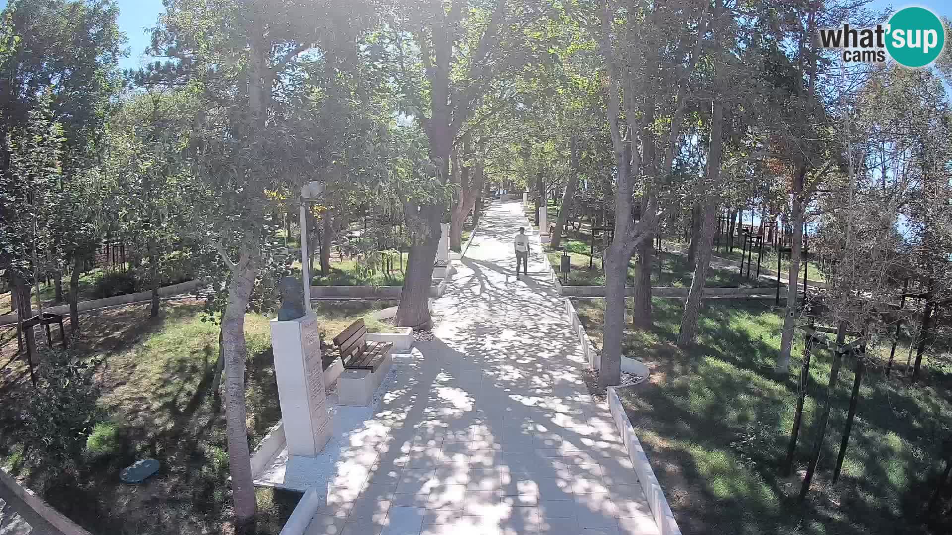 Webcam Parco degli Scrittori Segna – Diretta sul Mare