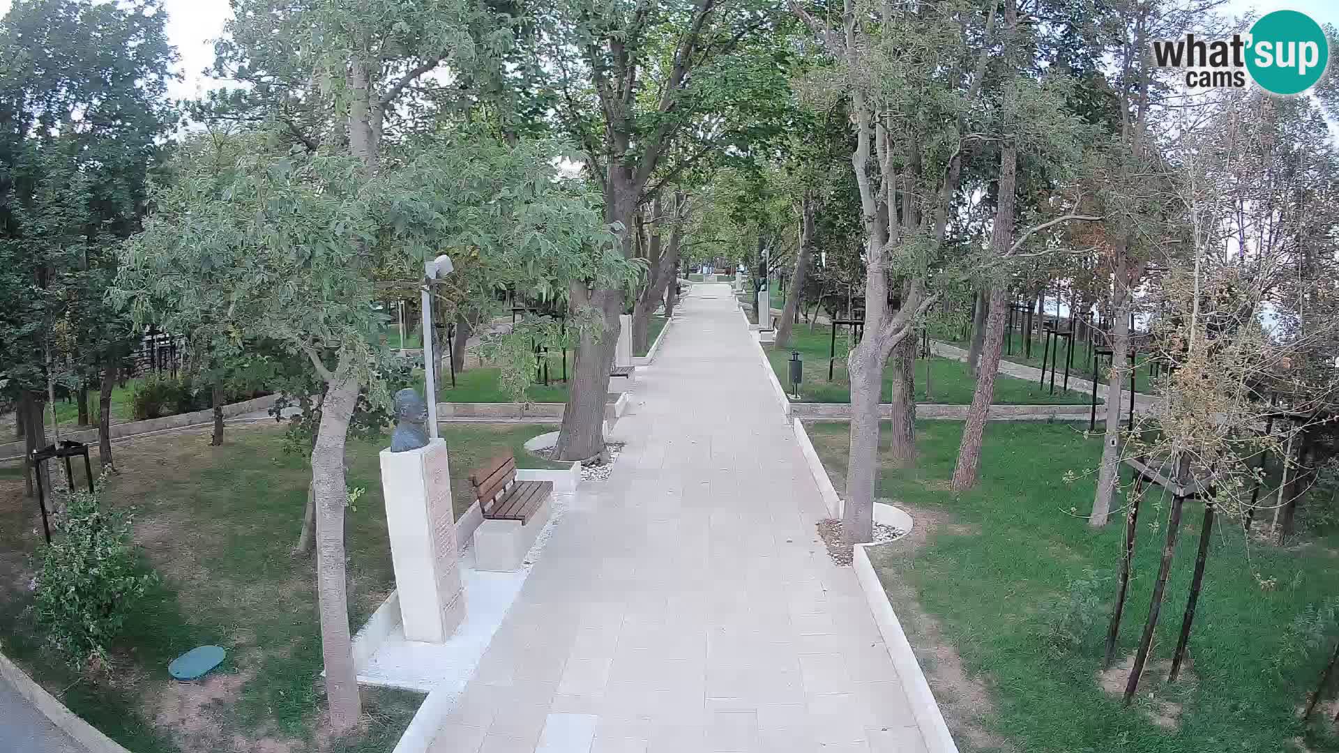 Webcam Parco degli Scrittori Segna – Diretta sul Mare