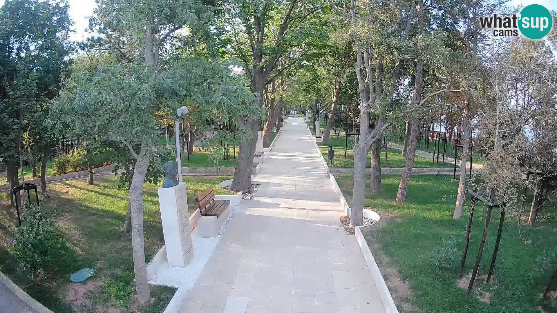 Webcam Parco degli Scrittori Segna – Diretta sul Mare