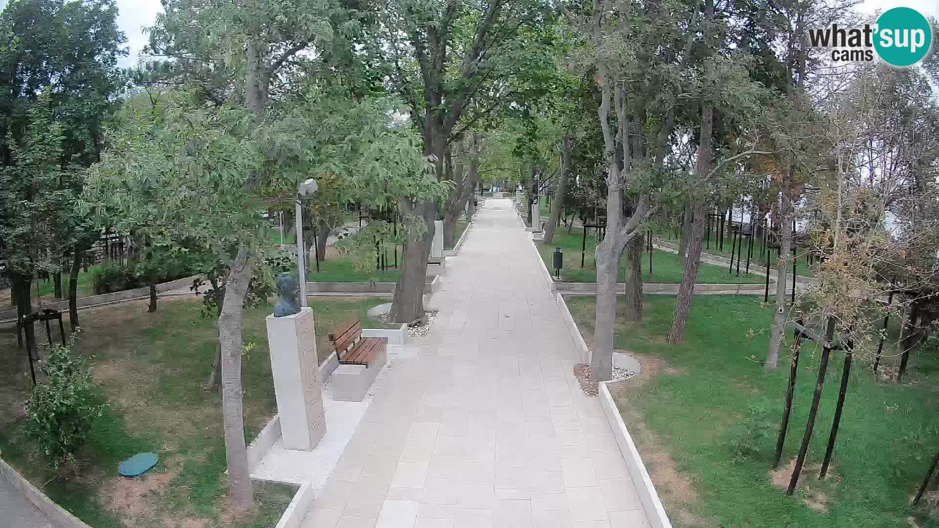 Webcam Parco degli Scrittori Segna – Diretta sul Mare
