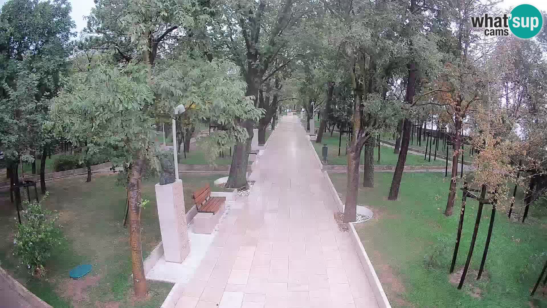 Webcam Parco degli Scrittori Segna – Diretta sul Mare