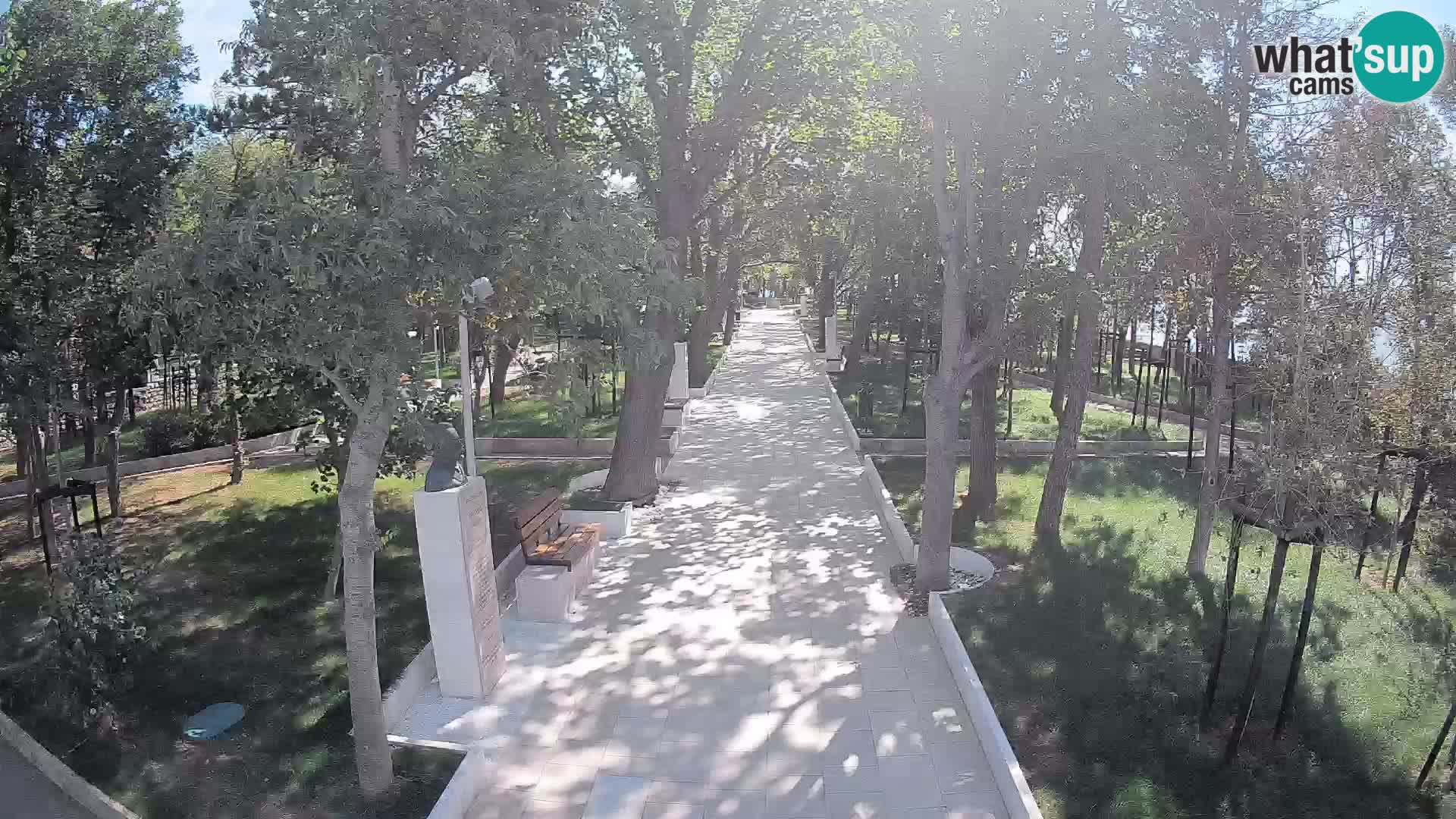 Webcam Schriftstellerpark Senj – Live am Meer