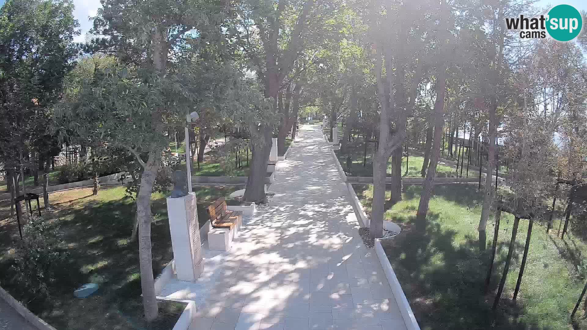 Webcam Parco degli Scrittori Segna – Diretta sul Mare