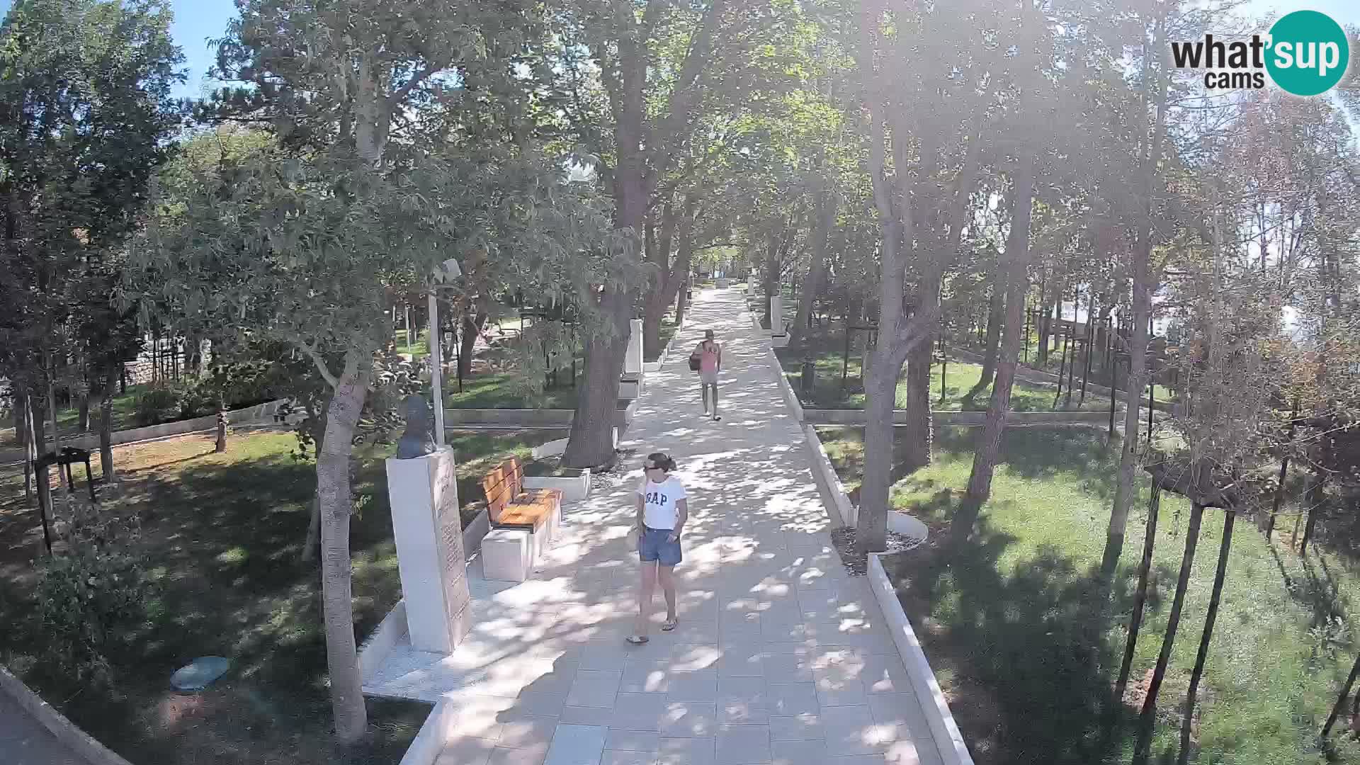 Webcam Parco degli Scrittori Segna – Diretta sul Mare