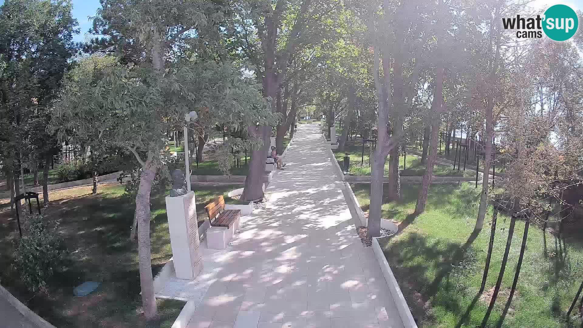 Webcam Parco degli Scrittori Segna – Diretta sul Mare