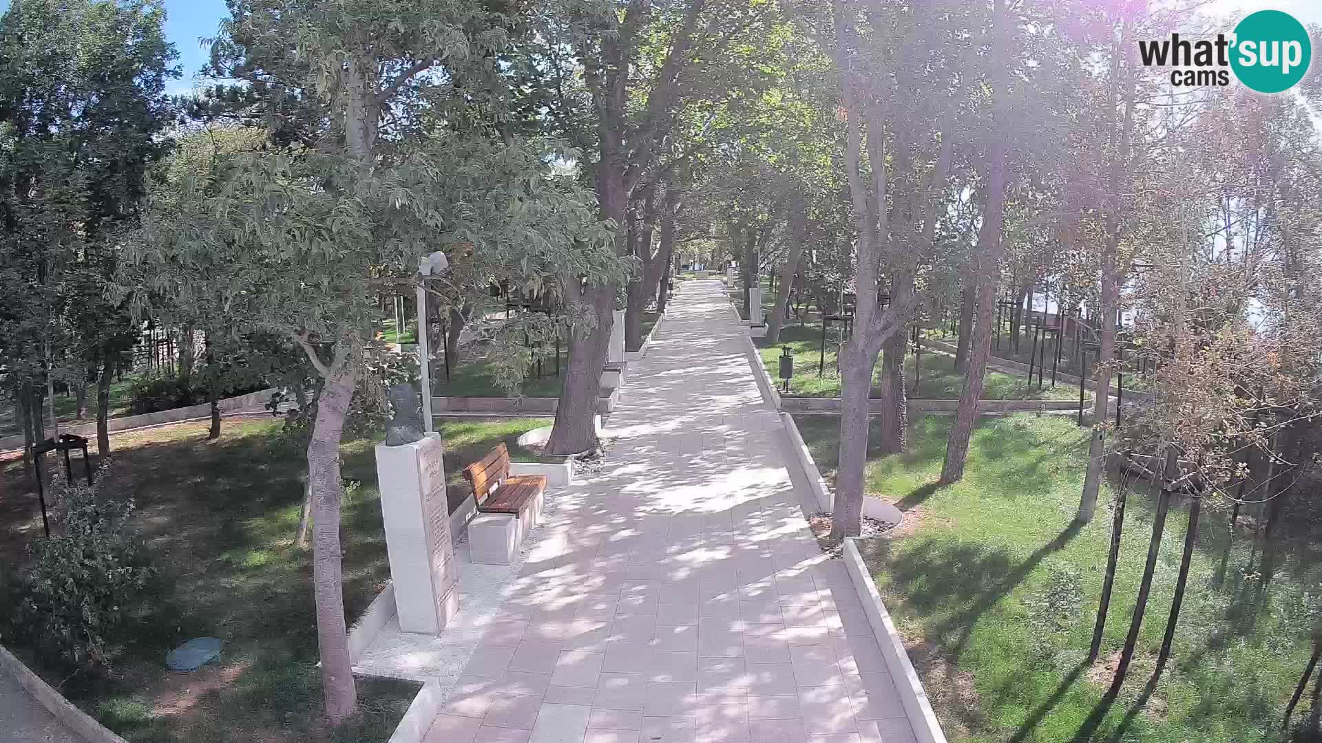 Webcam Parco degli Scrittori Segna – Diretta sul Mare