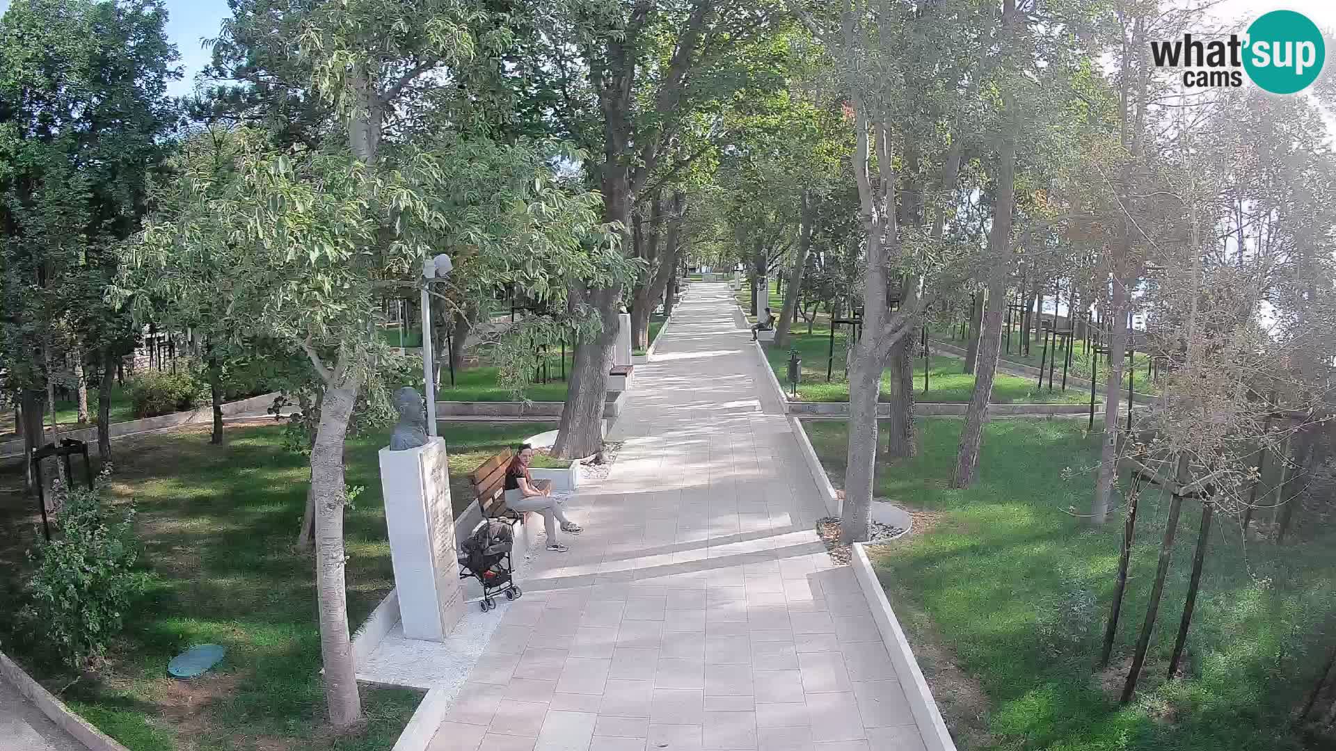 Webcam Parco degli Scrittori Segna – Diretta sul Mare