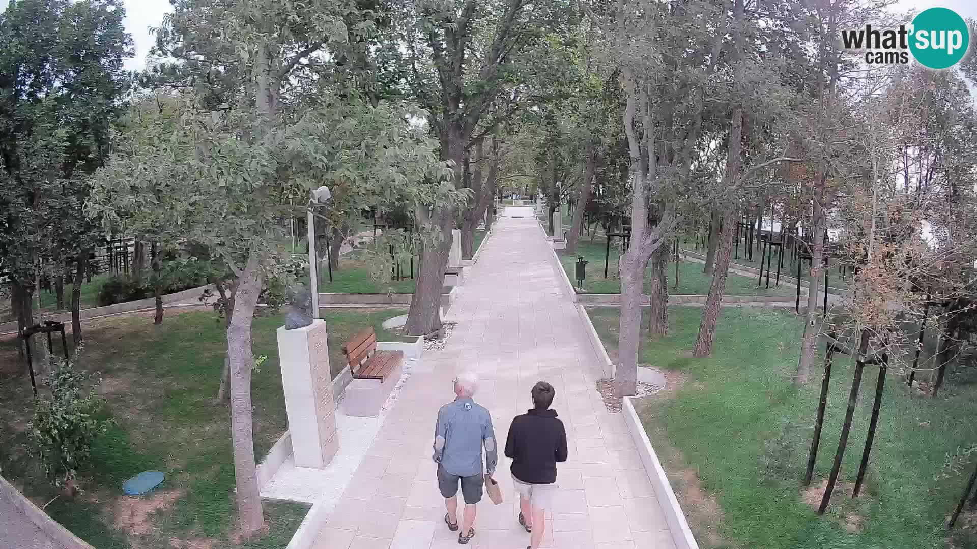 Webcam Parco degli Scrittori Segna – Diretta sul Mare
