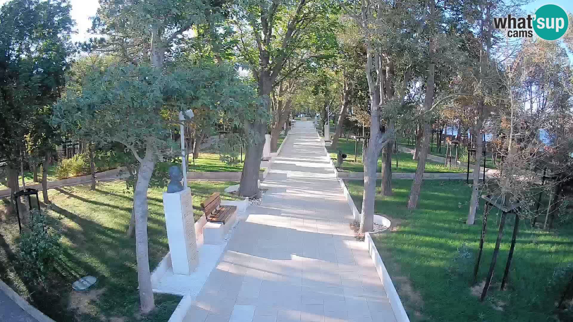 Webcam Parco degli Scrittori Segna – Diretta sul Mare