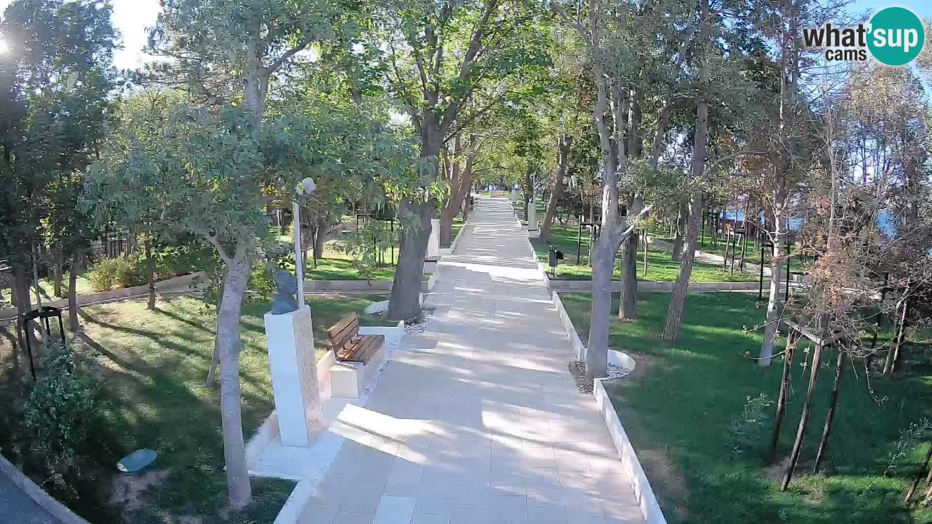 Webcam Parco degli Scrittori Segna – Diretta sul Mare