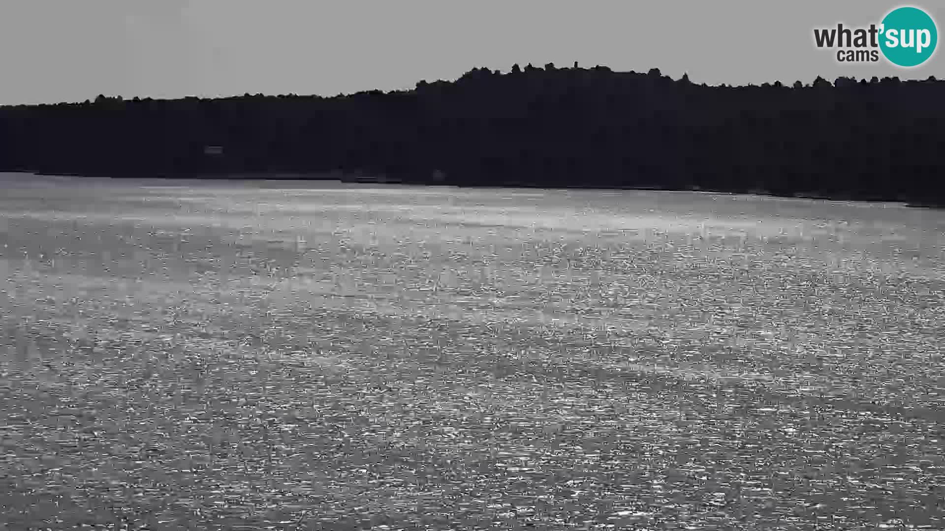 Webcam Šibenik – view from hotel Bellevue