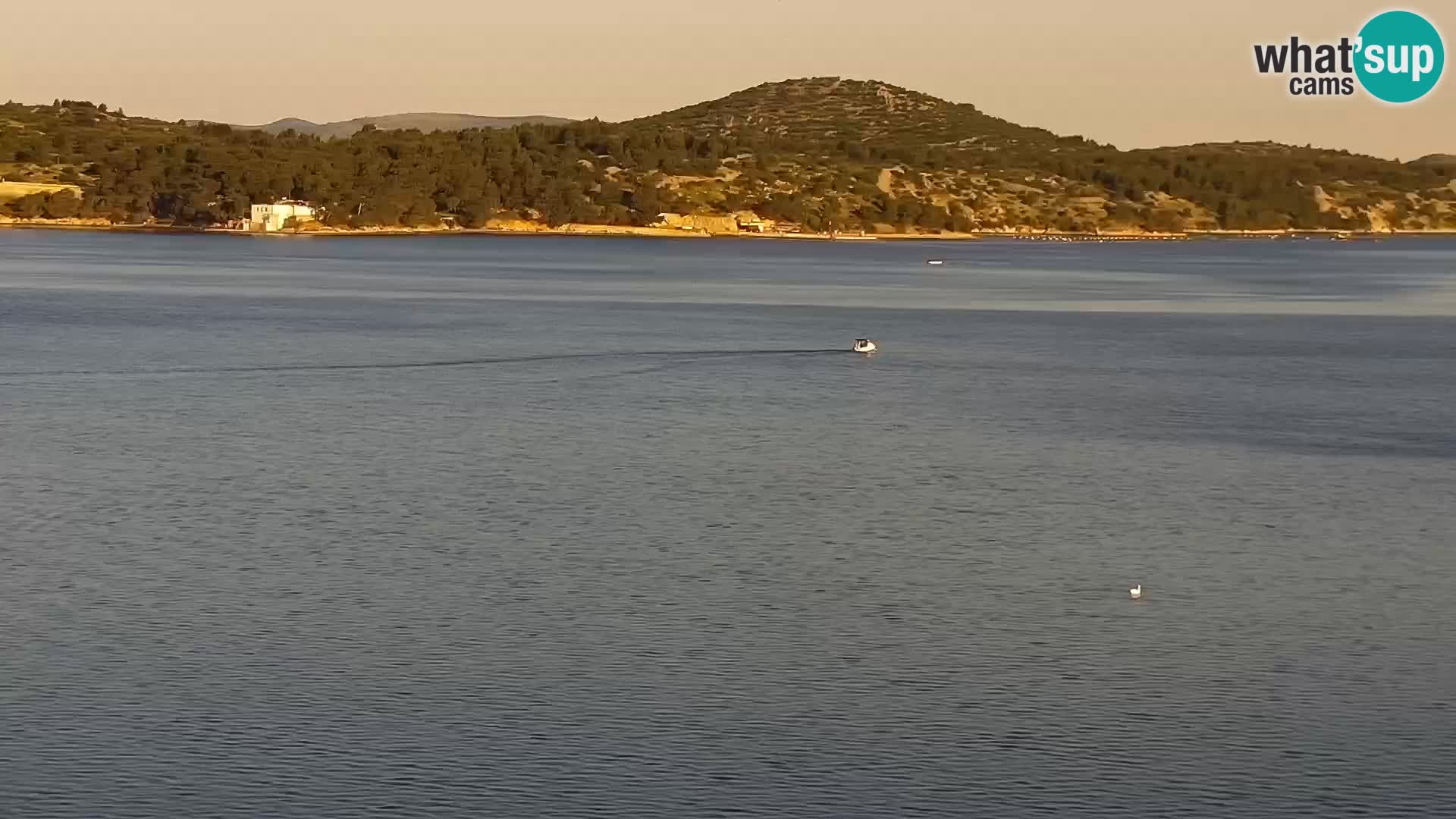 Livecam Šibenik – hotel Bellevue