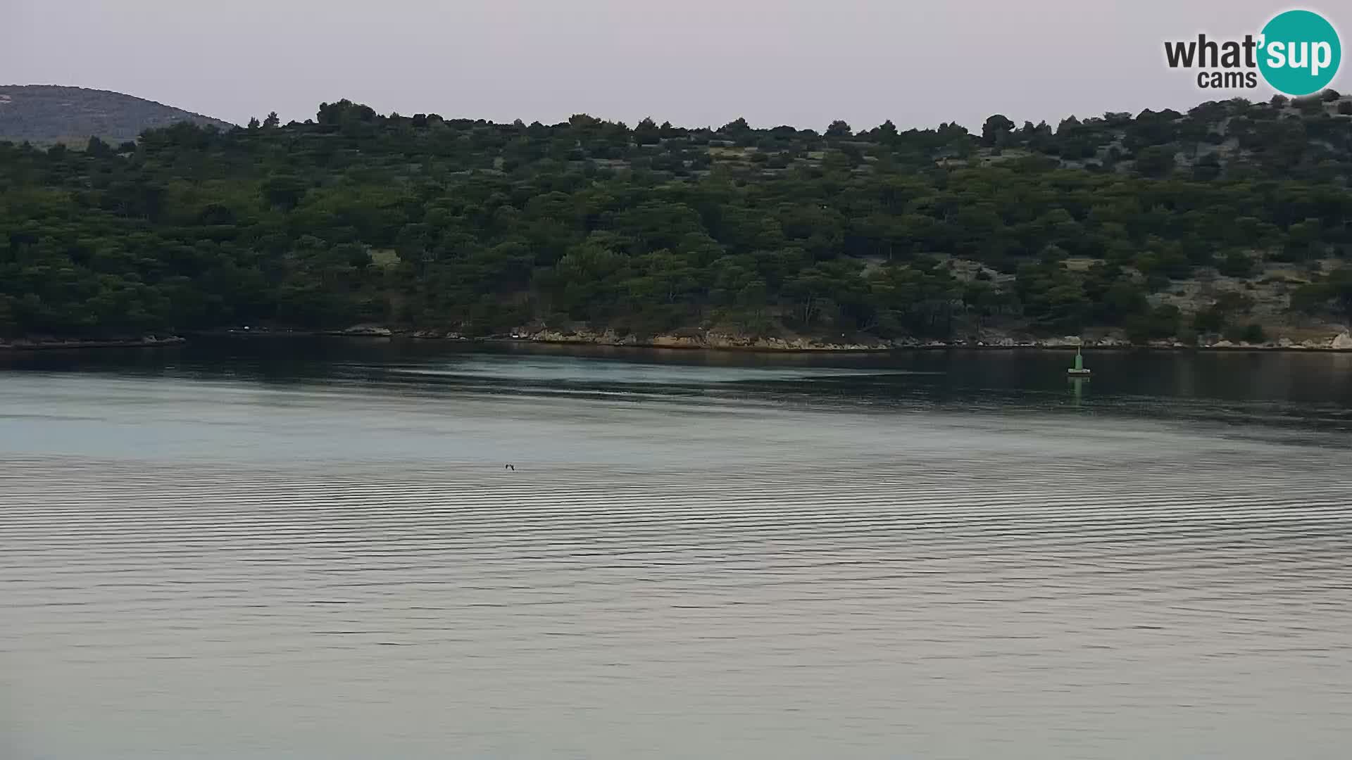 Web kamera Šibenik – Bellevue Hotel