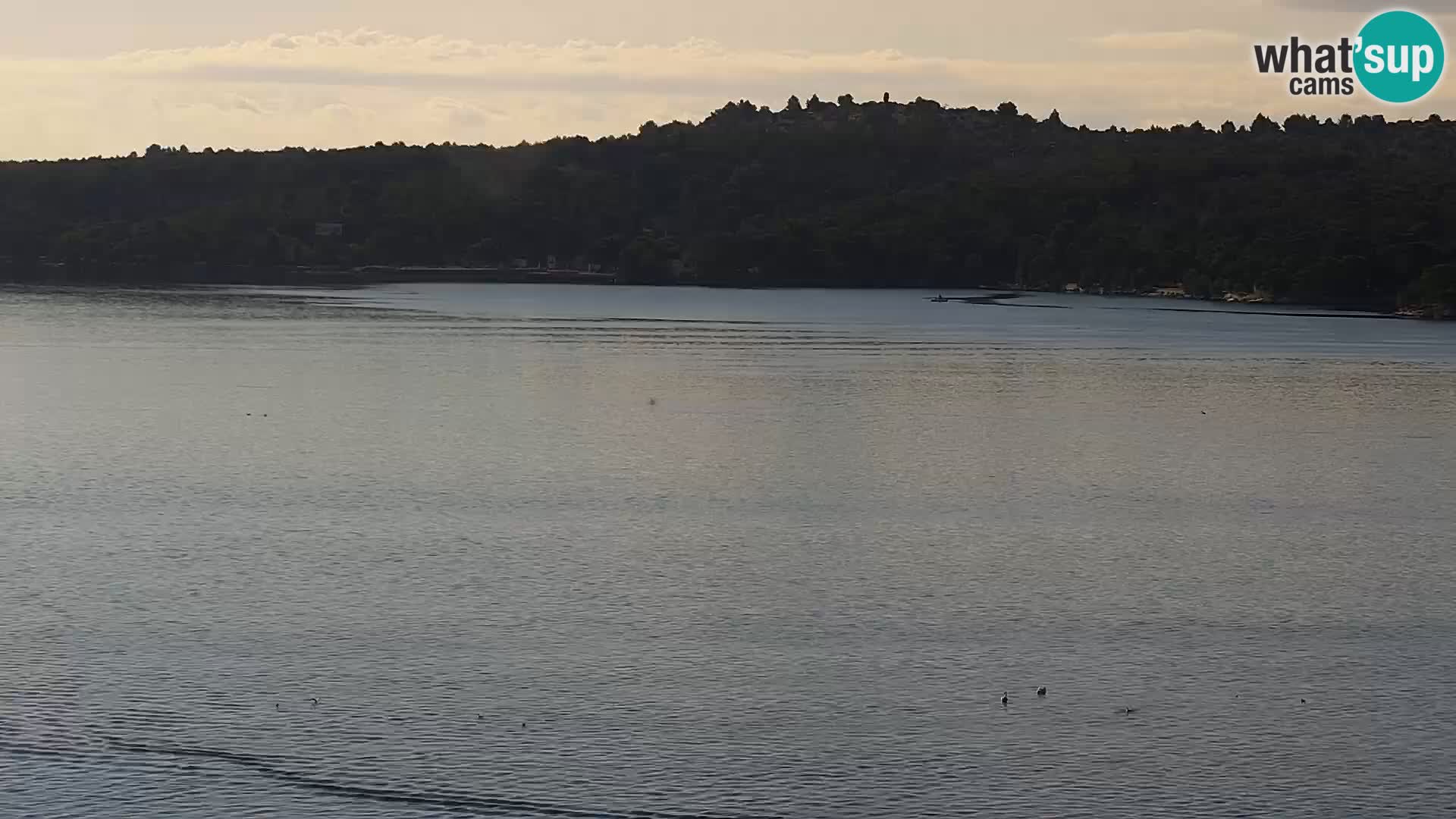 Webcam Šibenik – view from hotel Bellevue