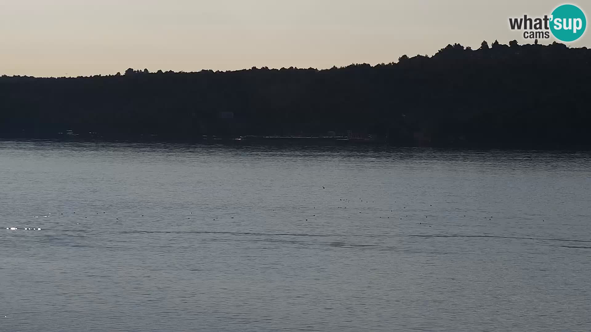 Web kamera Šibenik – Bellevue Hotel