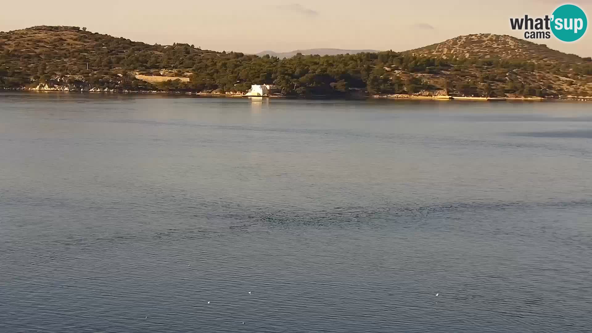 Livecam Šibenik – hotel Bellevue