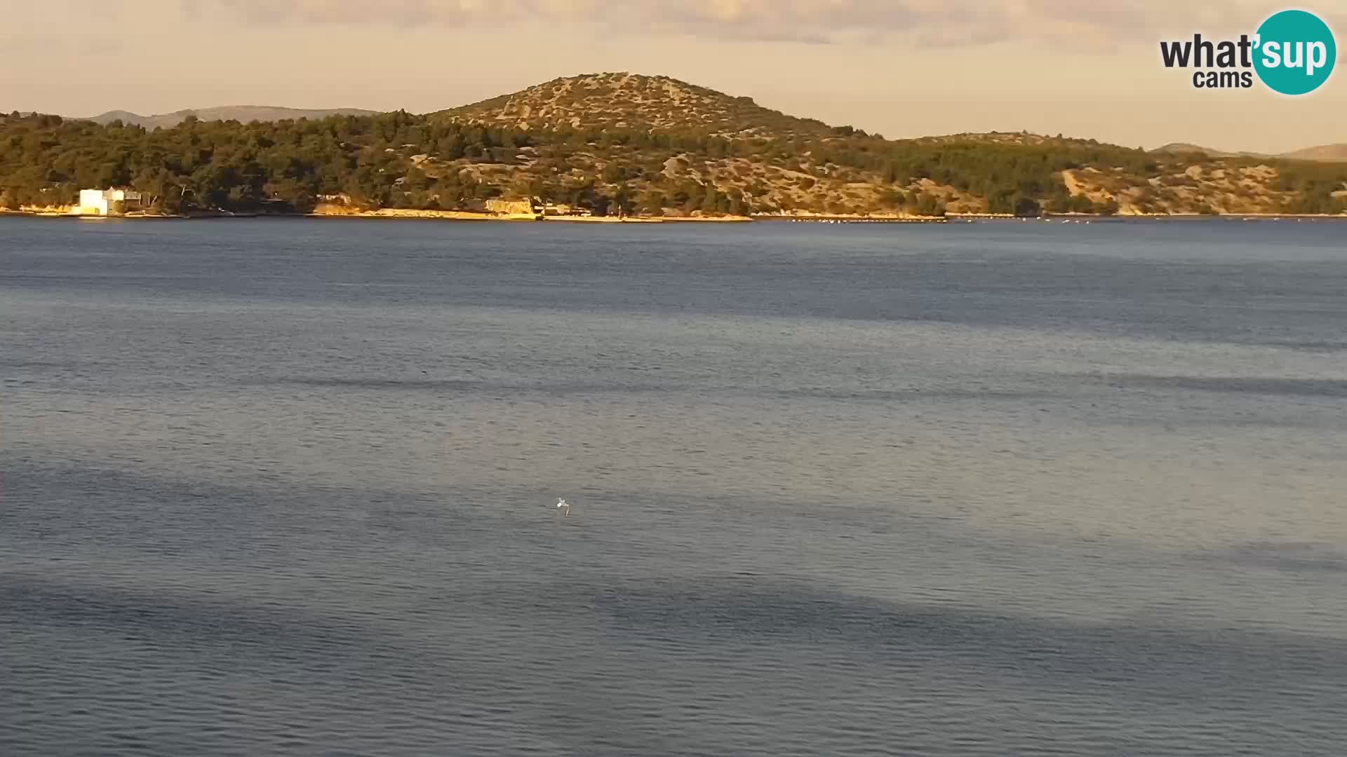 Camera en vivo Šibenik – Bellevue hotel