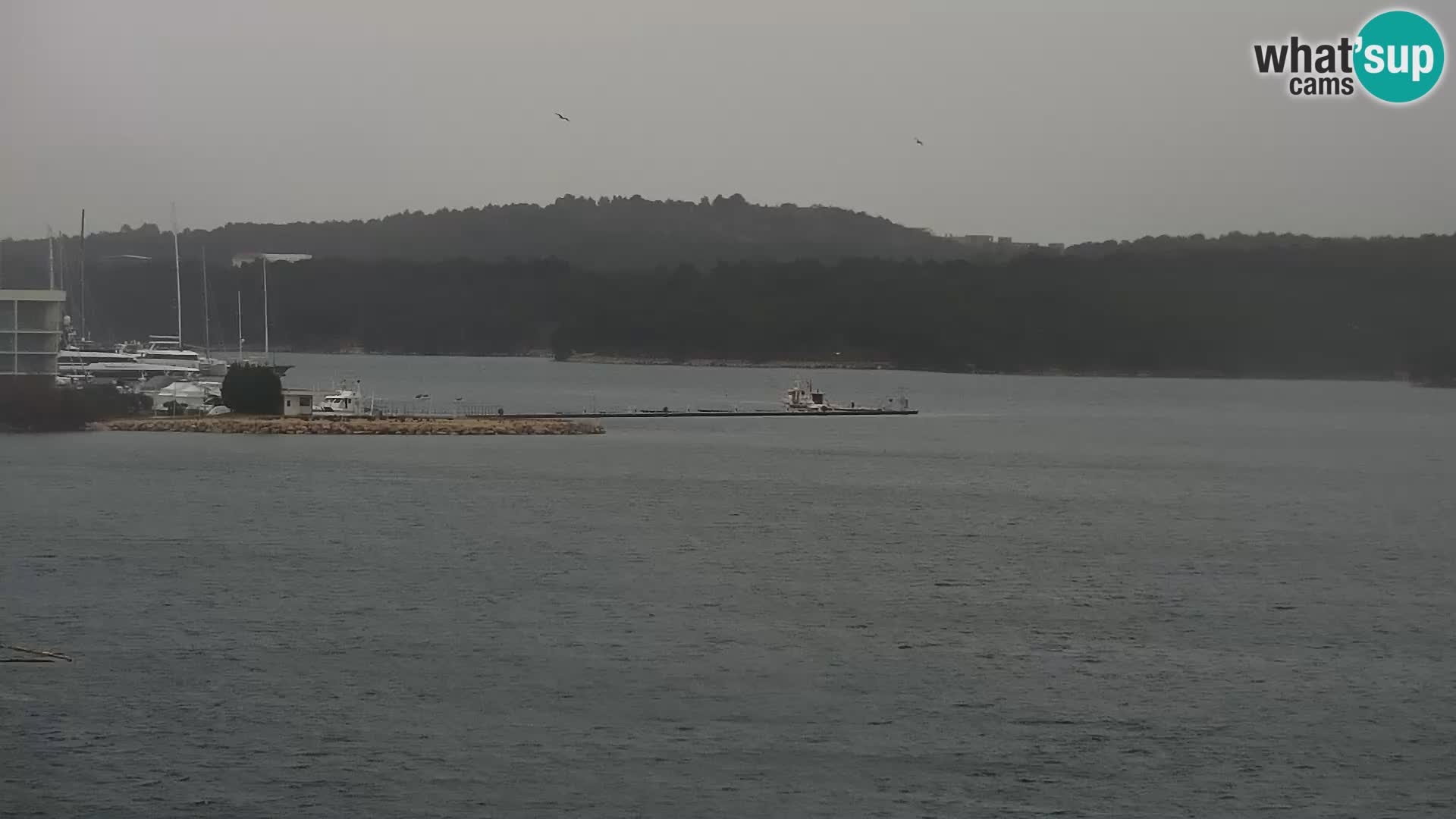 Camera en vivo Šibenik – Bellevue hotel