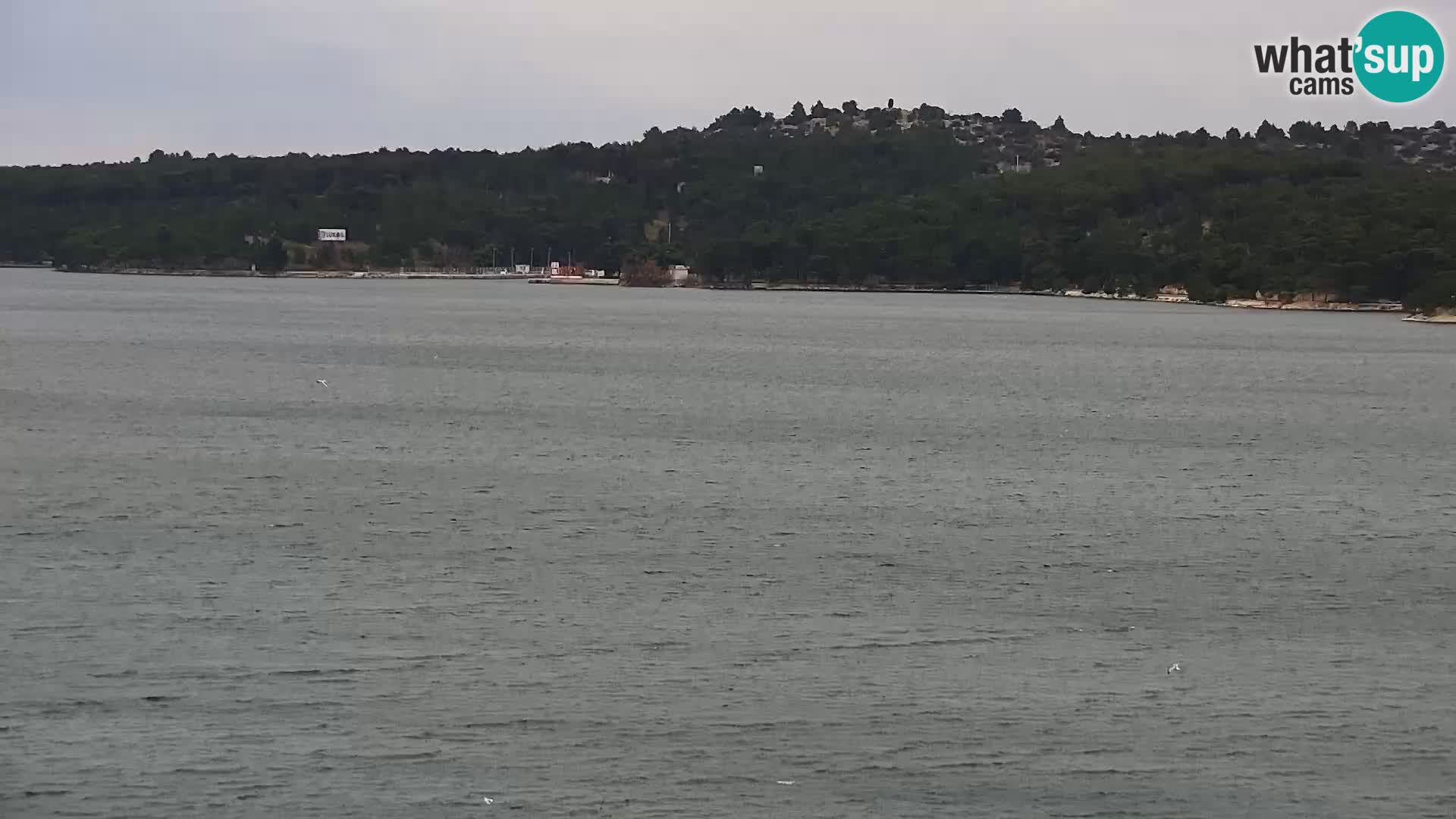 Kamera v živo Šibenik – Bellevue Hotel