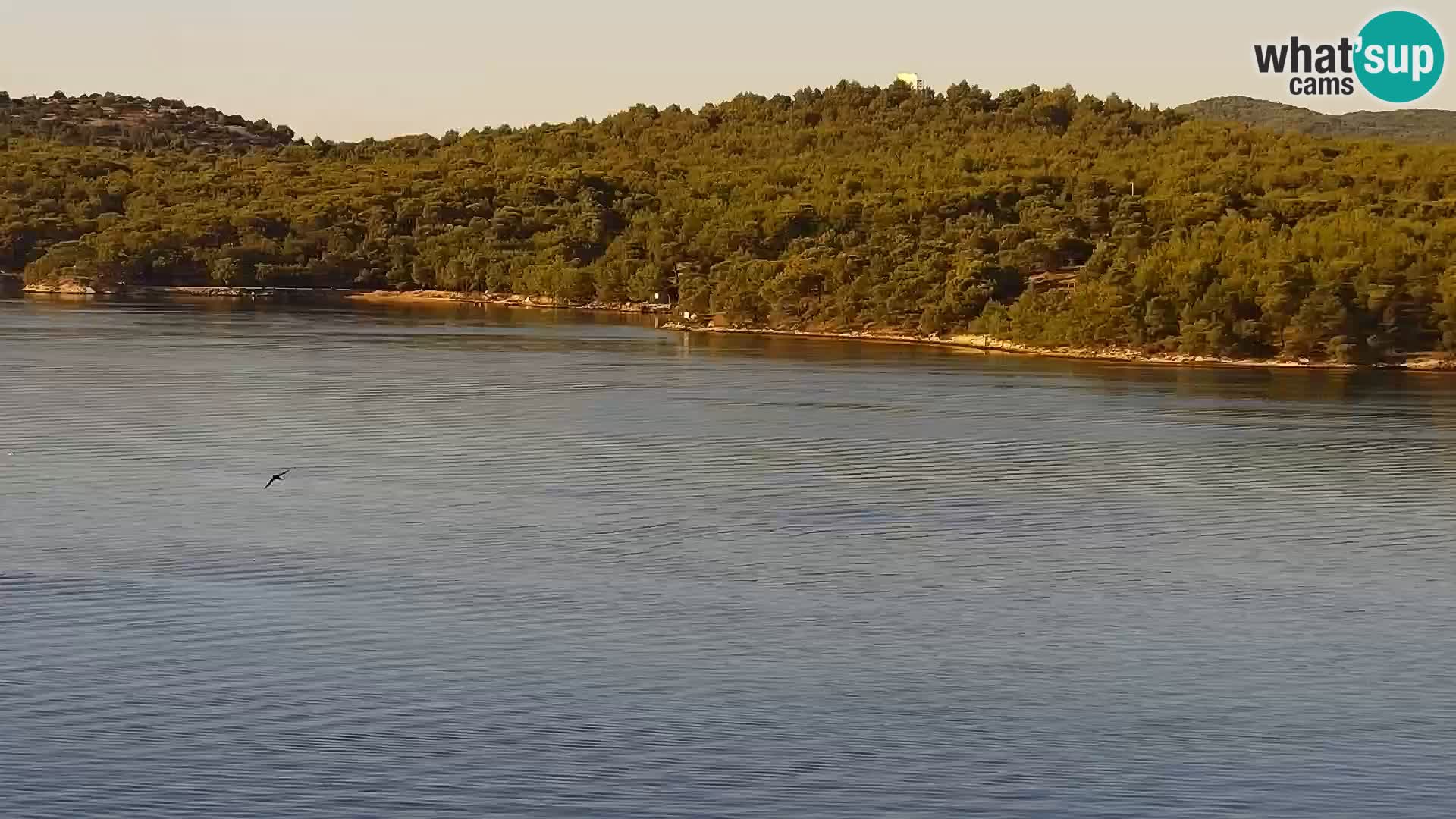 Kamera v živo Šibenik – Bellevue Hotel