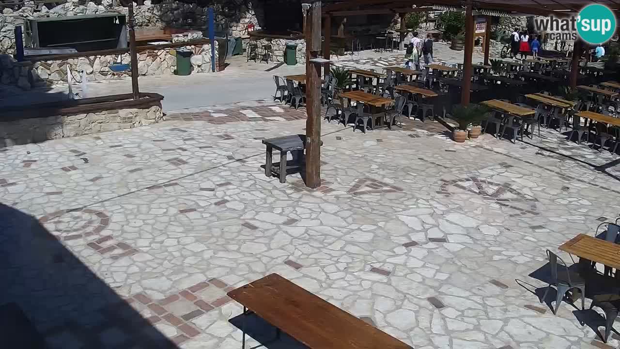 Webcam live Camp – Šimuni
