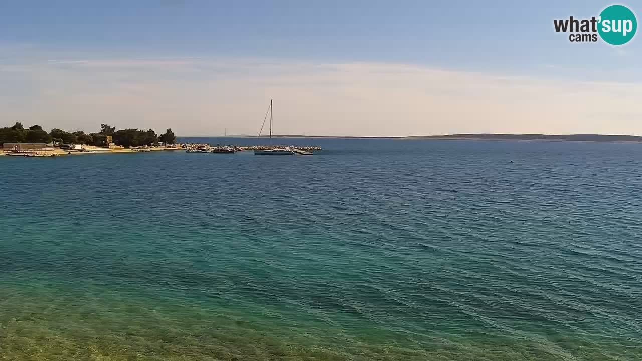 Web kamera Kamp Šimuni