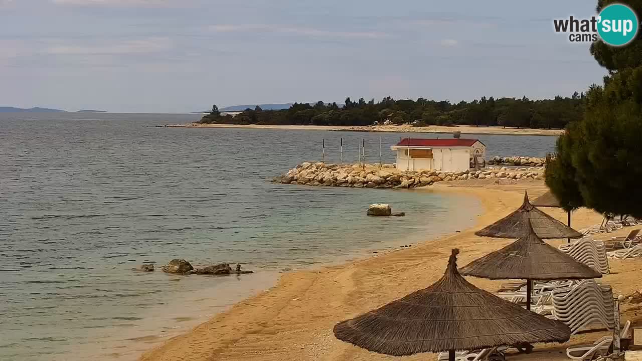 Webcam live Camping – Šimuni