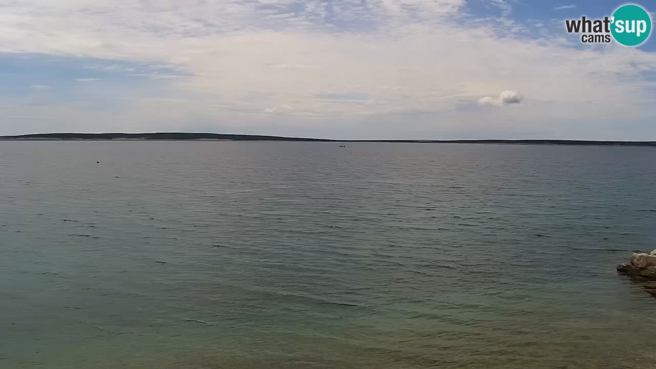 Webcam live Camp – Šimuni