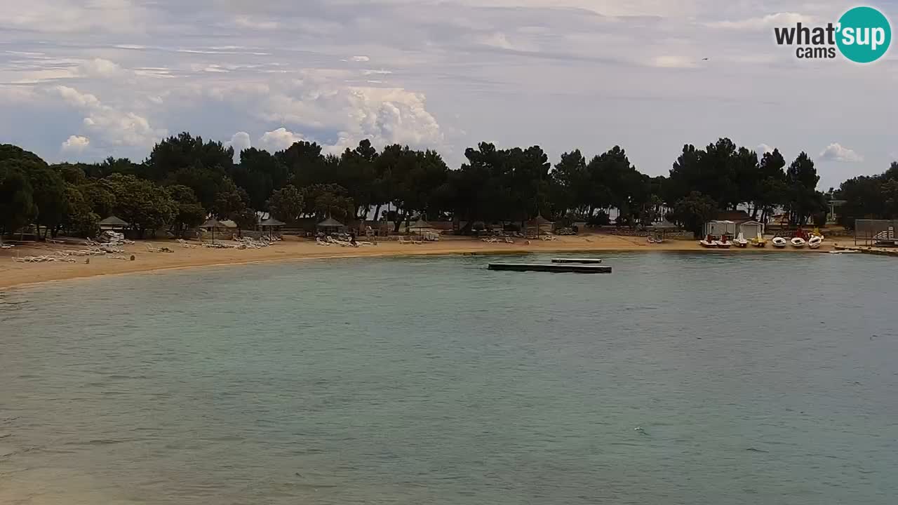 Spletna kamera Kamp Šimuni
