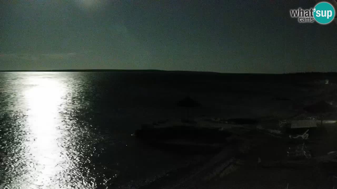 Webcam live Camp – Šimuni