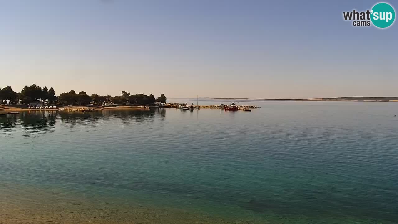 Webcam live Camp – Šimuni