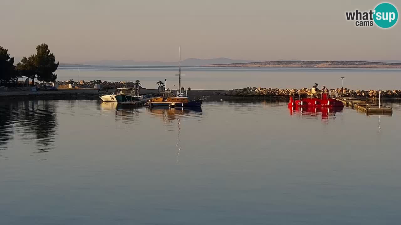 Webcam live Camp – Šimuni