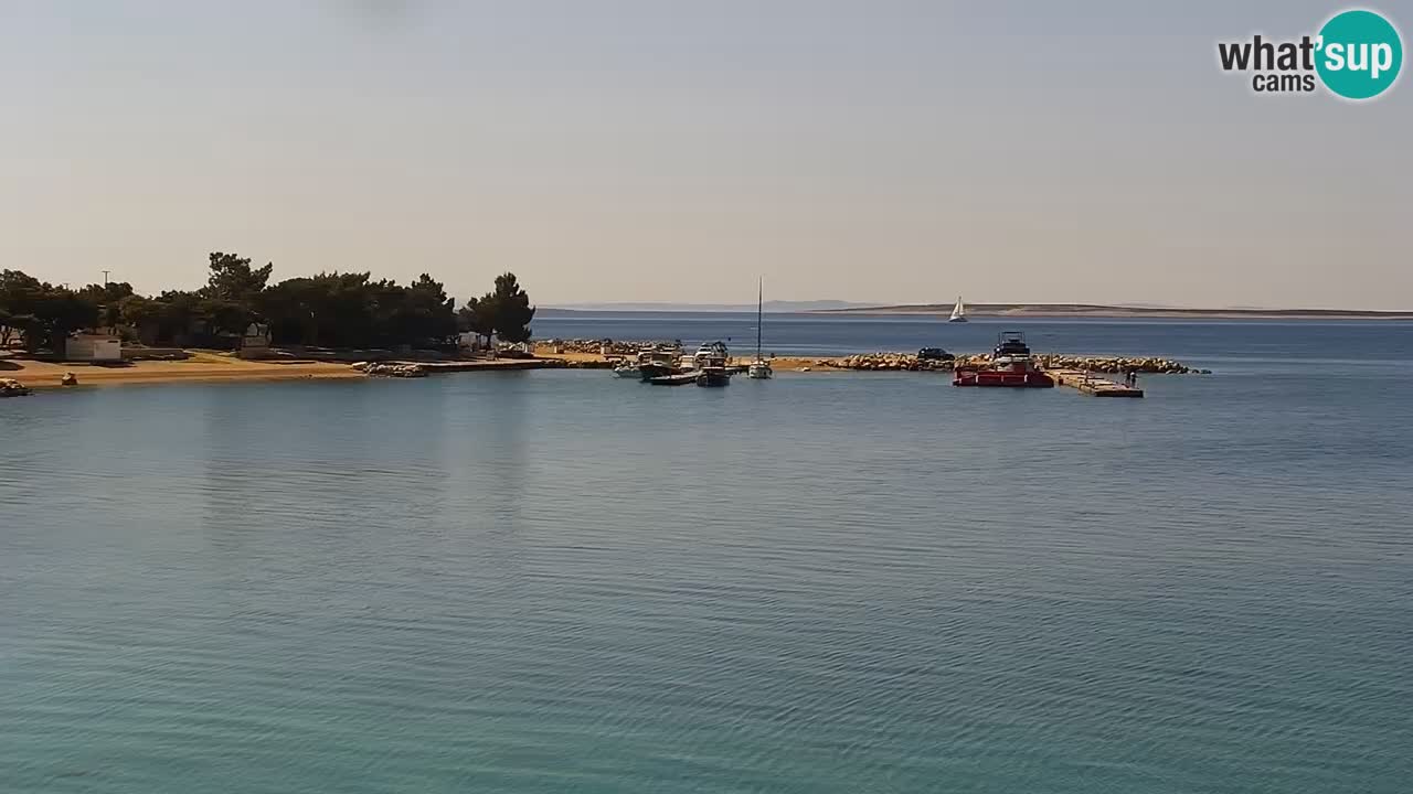 Webcam live Campeggio Šimuni