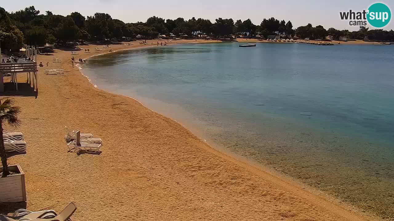 Webcam live Camping Šimuni