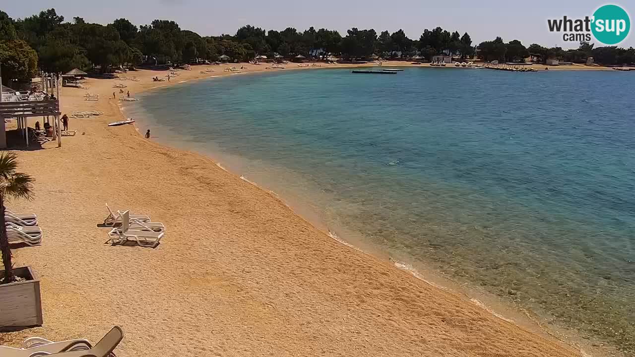 Spletna kamera Kamp Šimuni