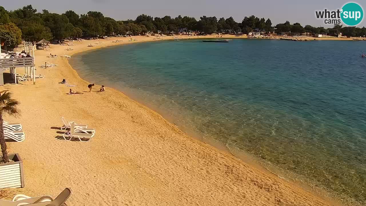 Spletna kamera Kamp Šimuni