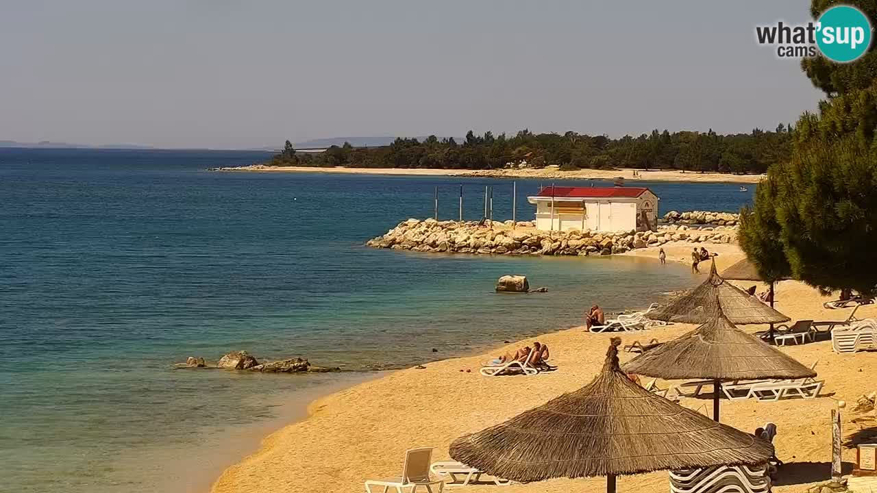 Web kamera Kamp Šimuni