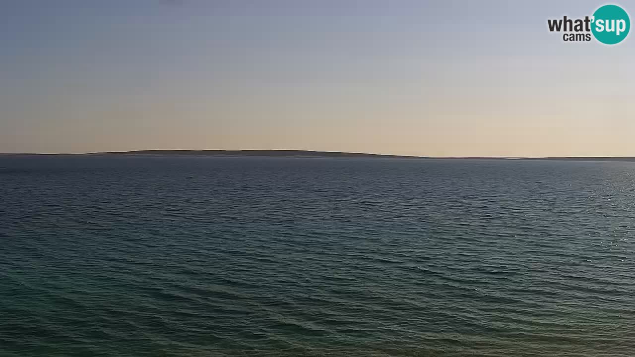 Web kamera Kamp Šimuni