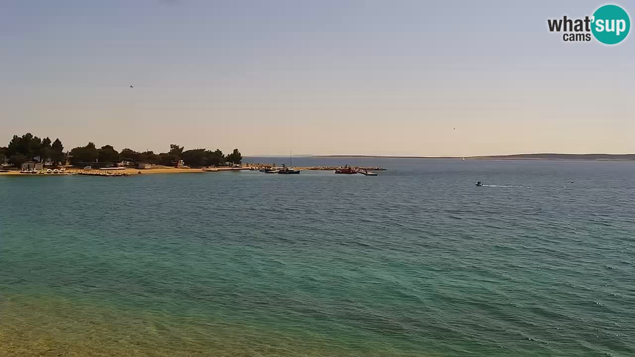 Web kamera Kamp Šimuni