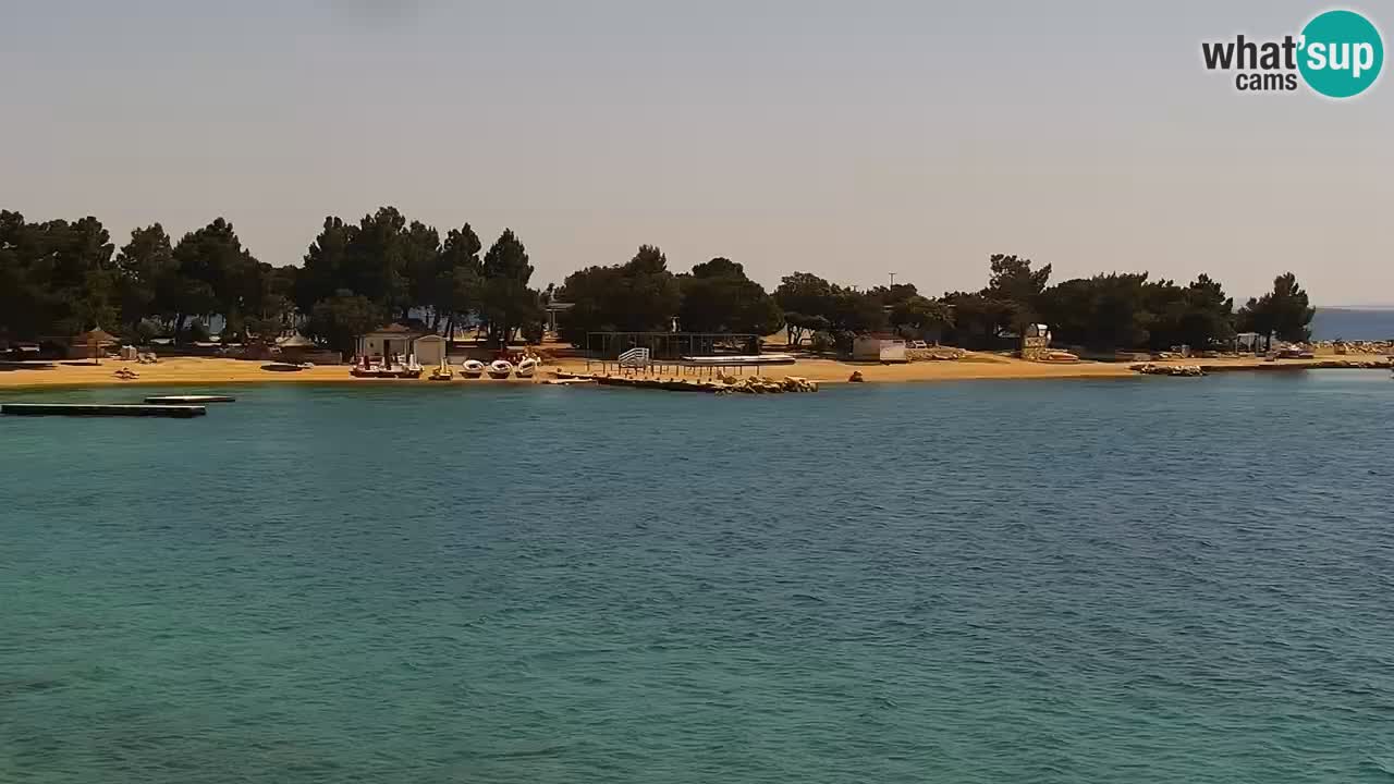 Web kamera Kamp Šimuni