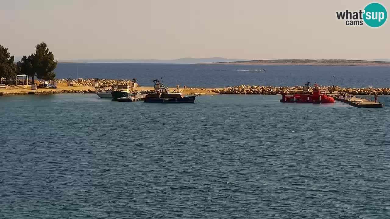 Webcam live Camping Šimuni