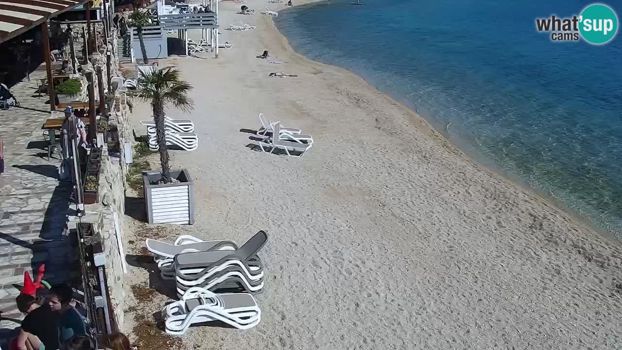 Web kamera Kamp Šimuni