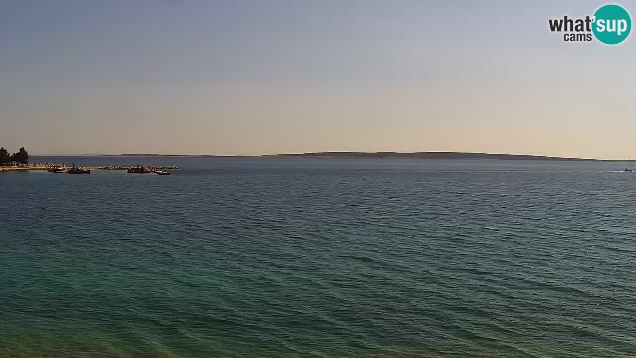 Web kamera Kamp Šimuni