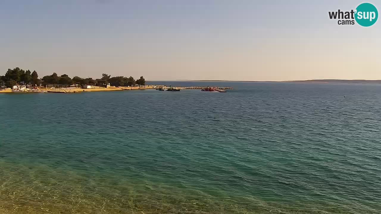 Webcam live Camp – Šimuni