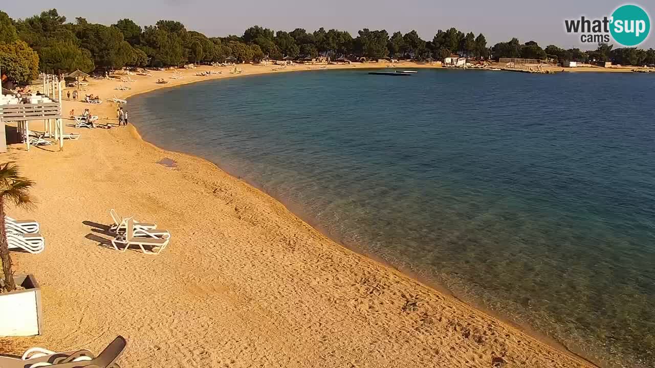 Webcam live Camp – Šimuni