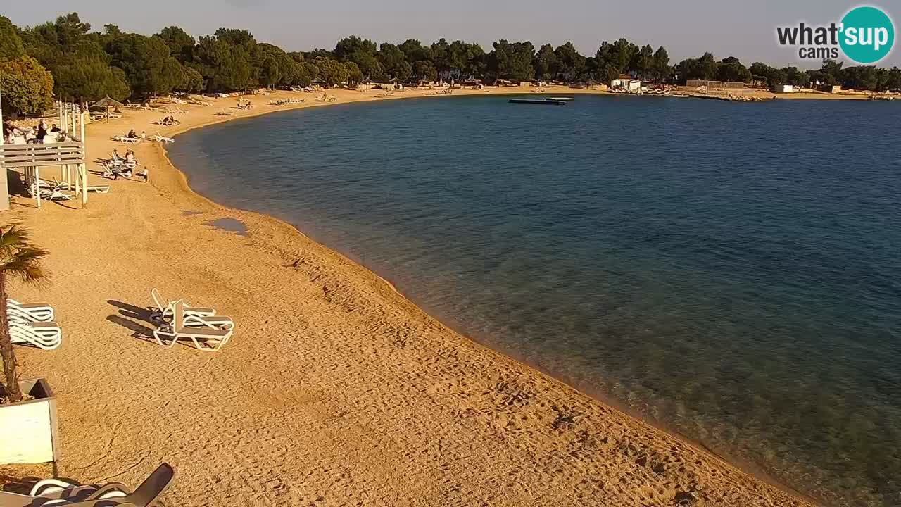 Web kamera Kamp Šimuni