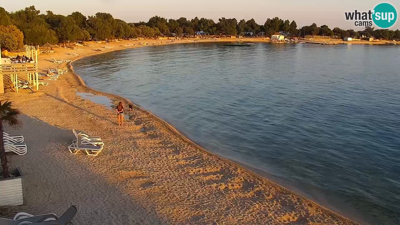 Webcam live Camp – Šimuni