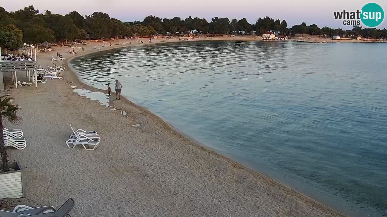 Webcam live Camp – Šimuni